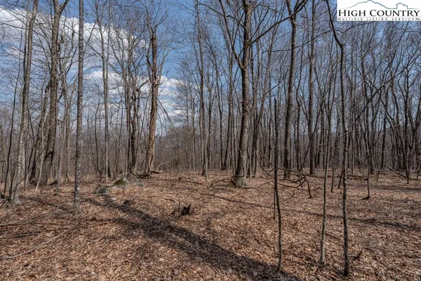 $89,500 | Grande Oaks Drive, Todd, NC 28684