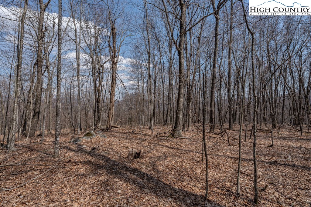 Grande Oaks Drive Todd, NC 28684 - Photo 12 of 34 a view of wooden fence