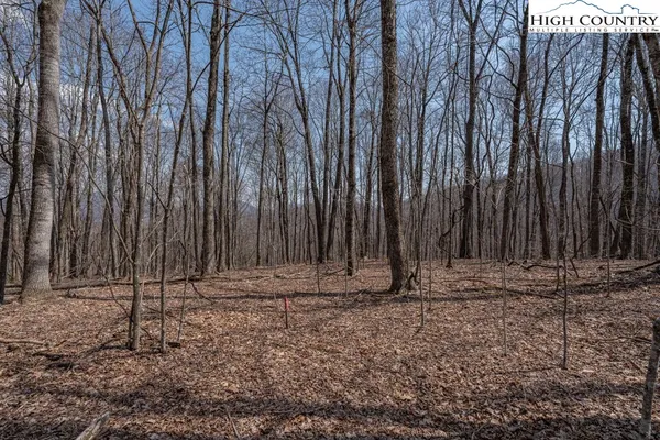 $89,500 | Grande Oaks Drive, Todd, NC 28684