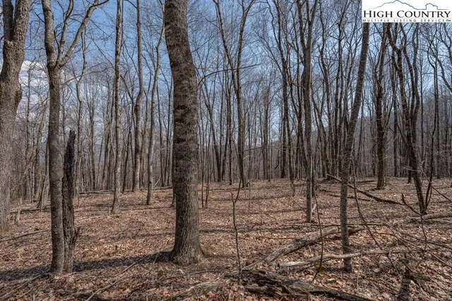 a view of wooden fence and trees