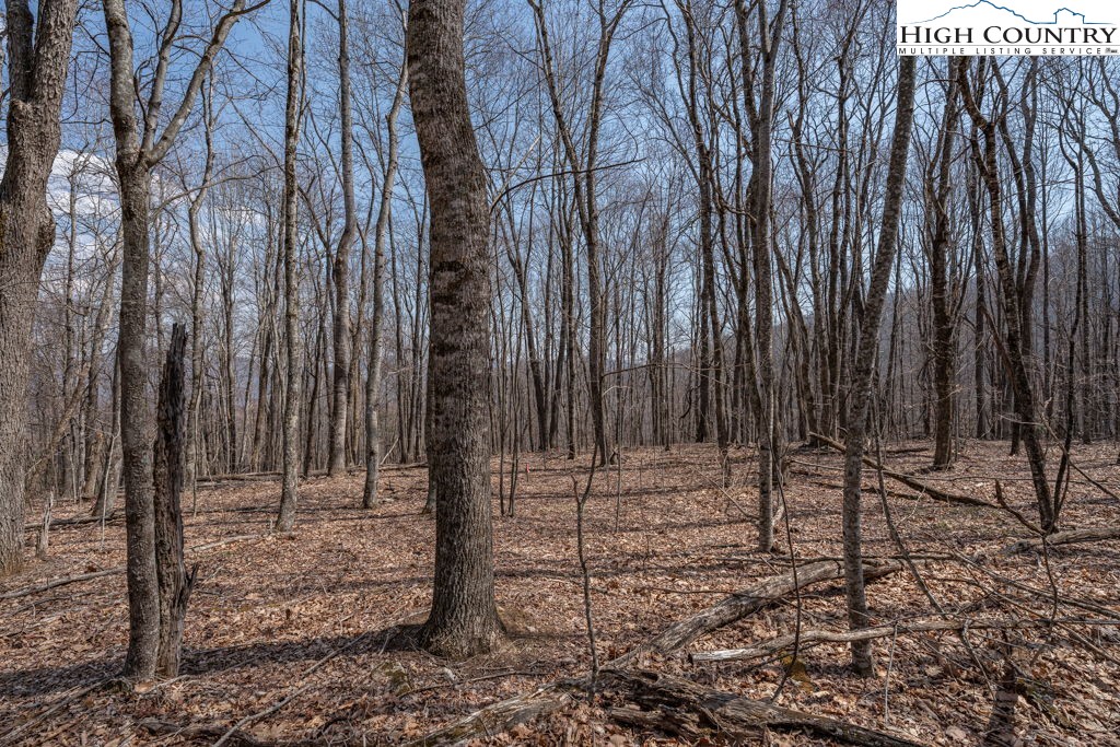 Grande Oaks Drive Todd, NC 28684 - Photo 14 of 34 a view of a backyard with wooden fence