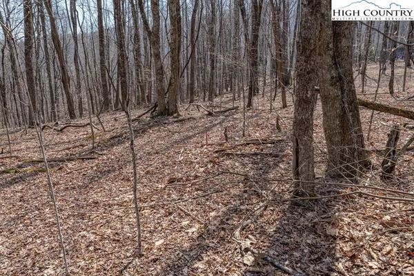 $89,500 | Grande Oaks Drive, Todd, NC 28684