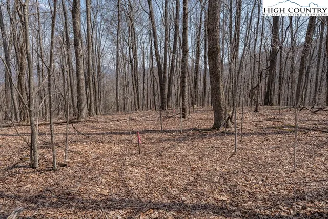 a view of backyard with wooden fence