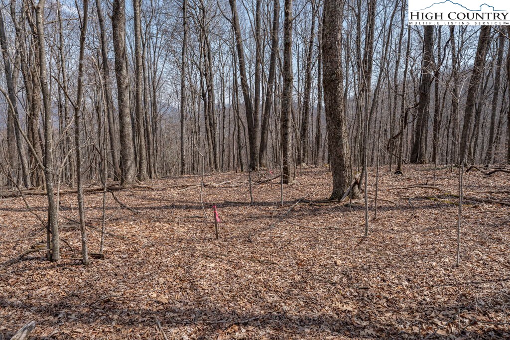 Grande Oaks Drive Todd, NC 28684 - Photo 16 of 34 a view of wooden fence and trees