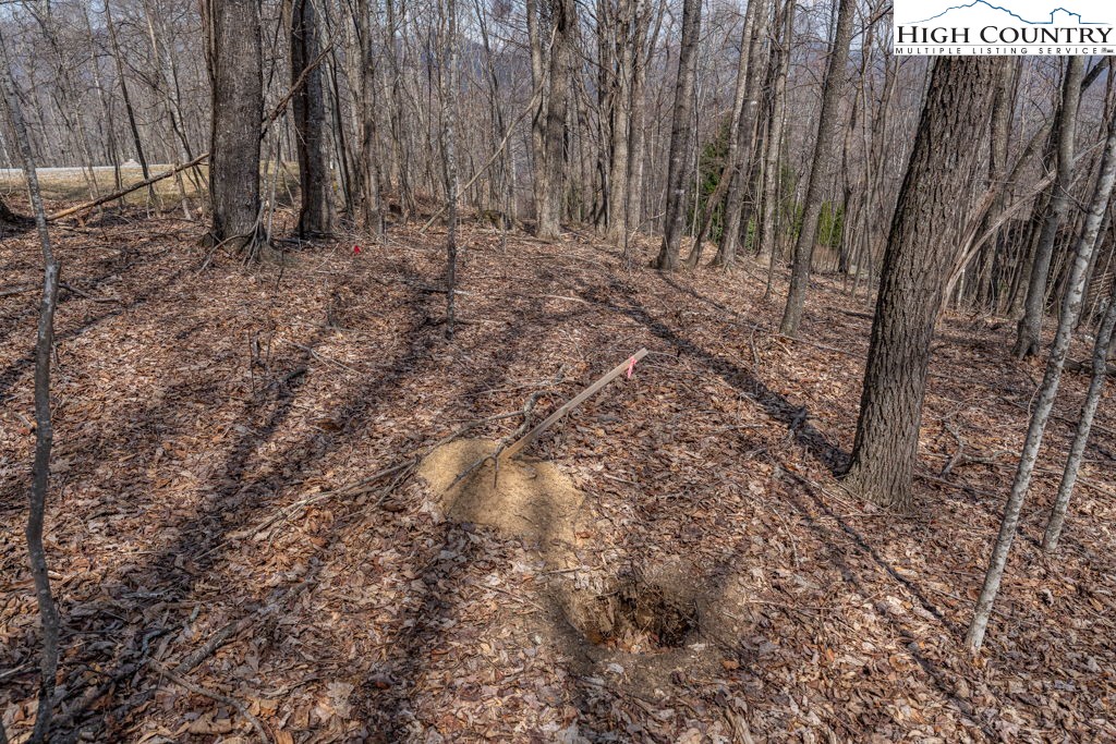 Grande Oaks Drive Todd, NC 28684 - Photo 18 of 34 a view of backyard with wooden fence