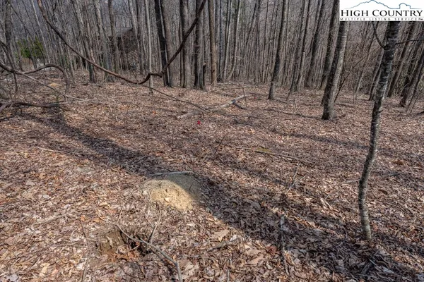 $89,500 | Grande Oaks Drive, Todd, NC 28684