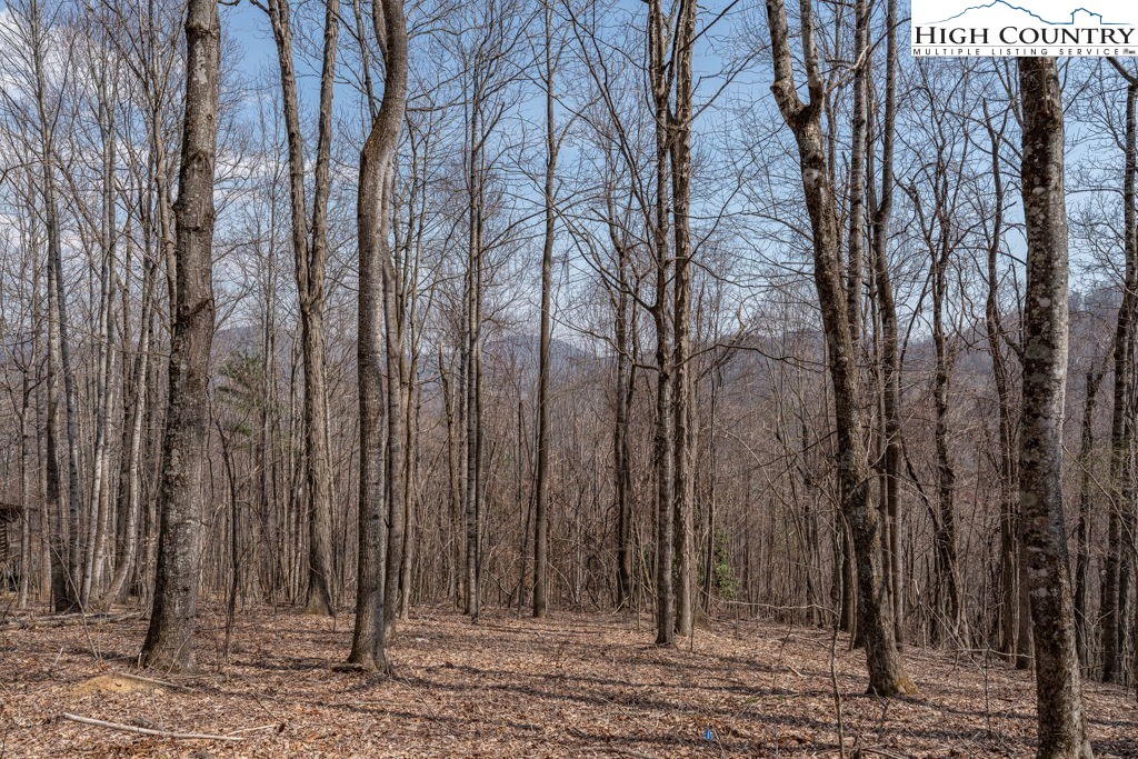 Grande Oaks Drive Todd, NC 28684 - Photo 2 of 34