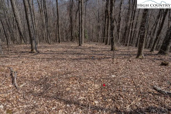 $89,500 | Grande Oaks Drive, Todd, NC 28684