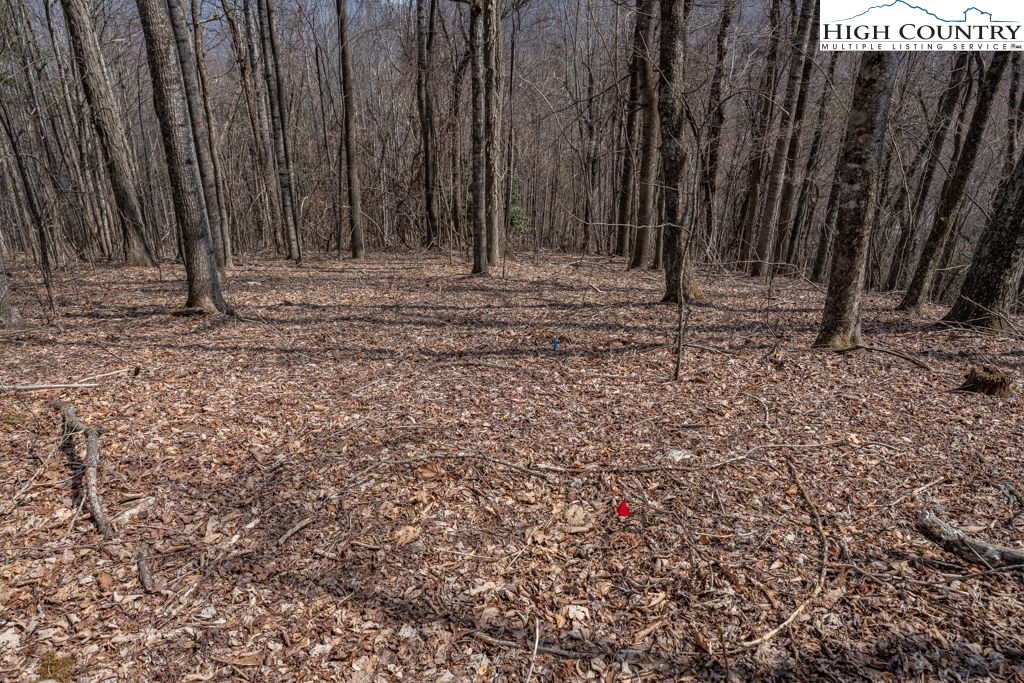Grande Oaks Drive Todd, NC 28684 - Photo 21 of 34 a view of outdoor space with wooden fence