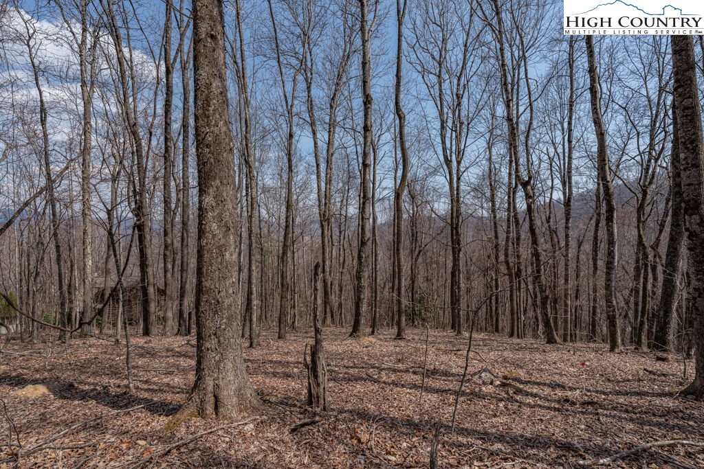 Grande Oaks Drive Todd, NC 28684 - Photo 22 of 34 a view of a backyard