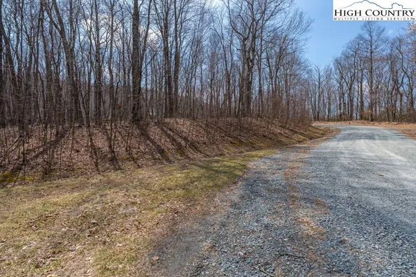 a view of a backyard with large trees