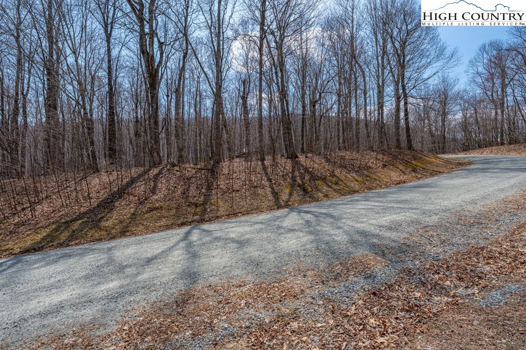 Grande Oaks Drive Todd, NC 28684 - Photo 25 of 34 a view of backyard with tree