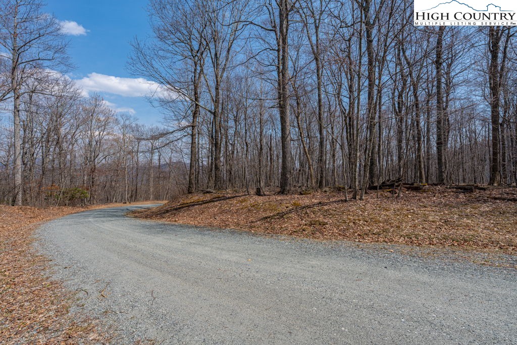 Grande Oaks Drive Todd, NC 28684 - Photo 26 of 34 a view of a backyard with large trees