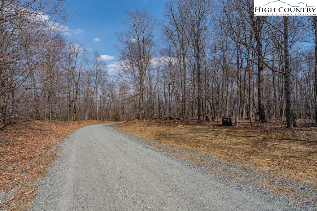 Grande Oaks Drive Todd, NC 28684 - Photo 27 of 34 a view of a backyard of the house