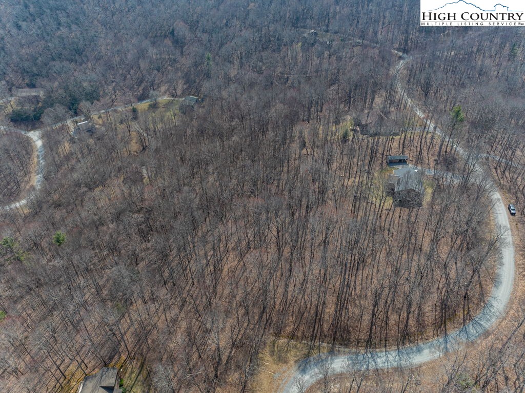 Grande Oaks Drive Todd, NC 28684 - Photo 34 of 34 a picture of a tree