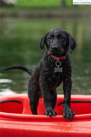 a view of a lake view