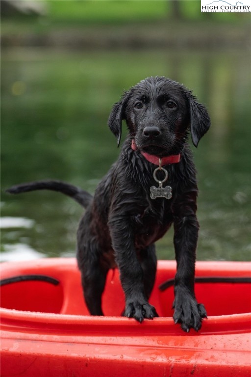 Grande Oaks Drive Todd, NC 28684 - Photo 7 of 34