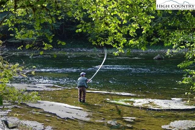 a view of a backyard with large trees and wooden fence
