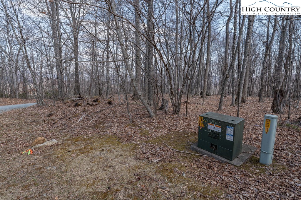 Grande Oaks Drive Todd, NC 28684 - Photo 10 of 34 a view of a backyard with large trees and wooden fence