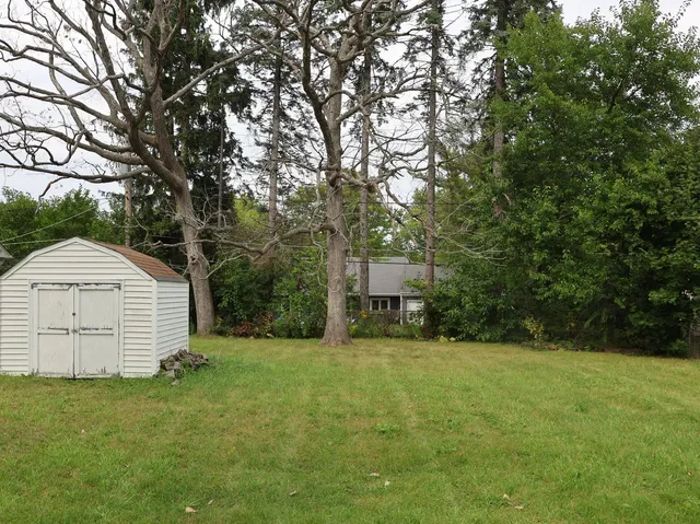 a view of a backyard with a garden and large trees