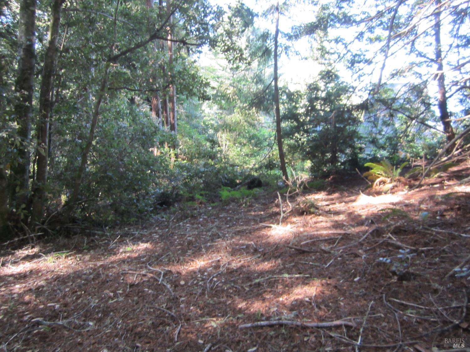 398 Packet Close The Sea Ranch, CA 95497 - Photo 11 of 14