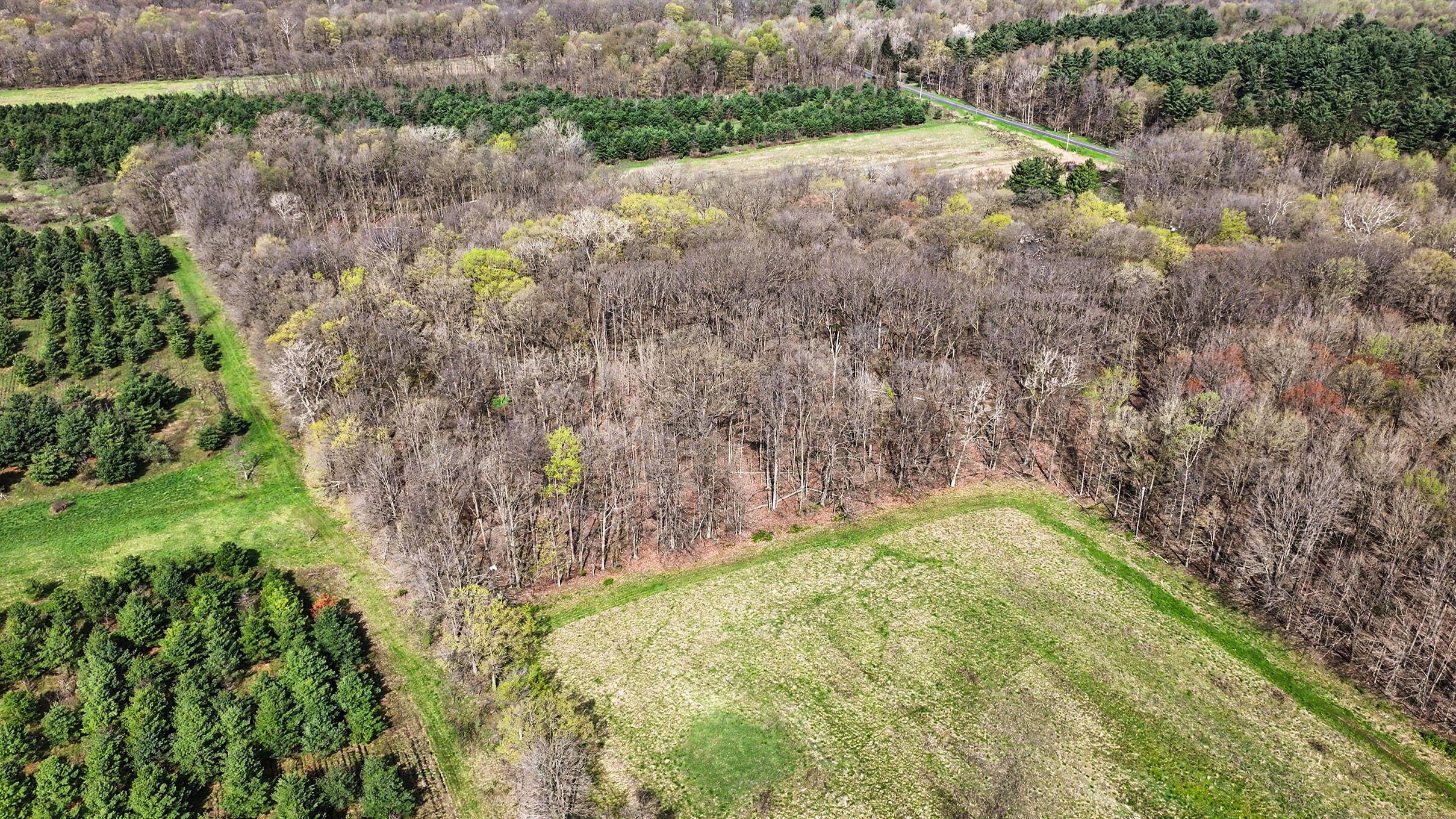 18906 South Lakeside Road New Buffalo, MI 49117 - Photo 10 of 21 010_file_9540