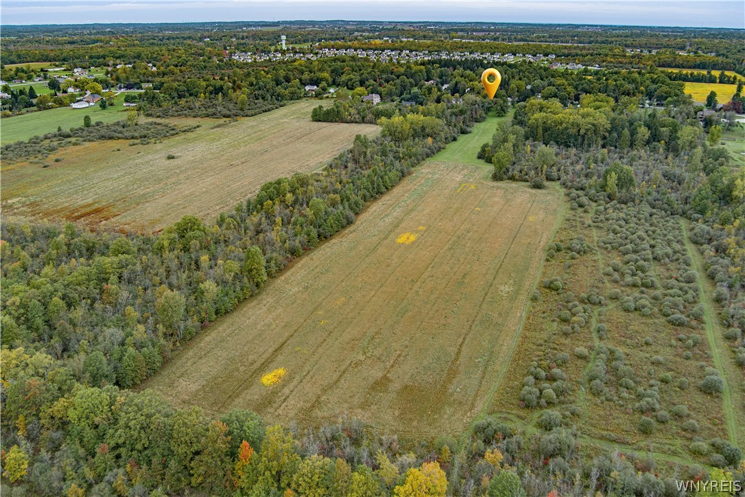 6775 Bear Ridge Road Pendleton, NY 14094 - Photo 44 of 48 Mature woodlands frame expansive, open fields and natural meadows on this vast countryside acreage.