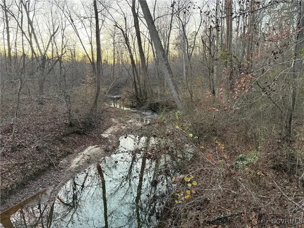 $125,000 | 0 Hopeful Church Road, Bumpass, VA 23024