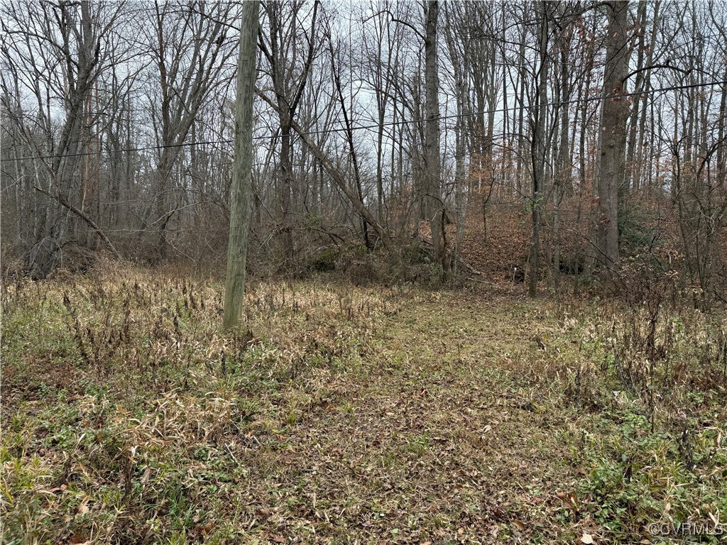 0 Hopeful Church Road Bumpass, VA 23024 - Photo 11 of 19 View of nature