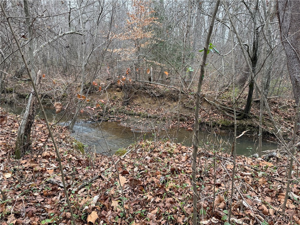 0 Hopeful Church Road Bumpass, VA 23024 - Photo 13 of 19 View of local wilderness