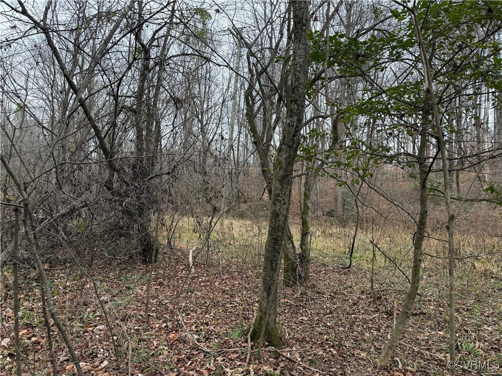 0 Hopeful Church Road Bumpass, VA 23024 - Photo 16 of 19 View of nature