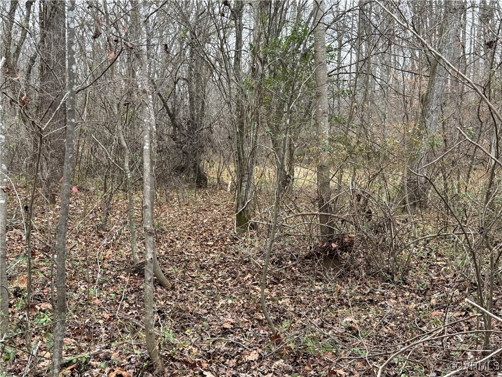 0 Hopeful Church Road Bumpass, VA 23024 - Photo 18 of 19 View of nature
