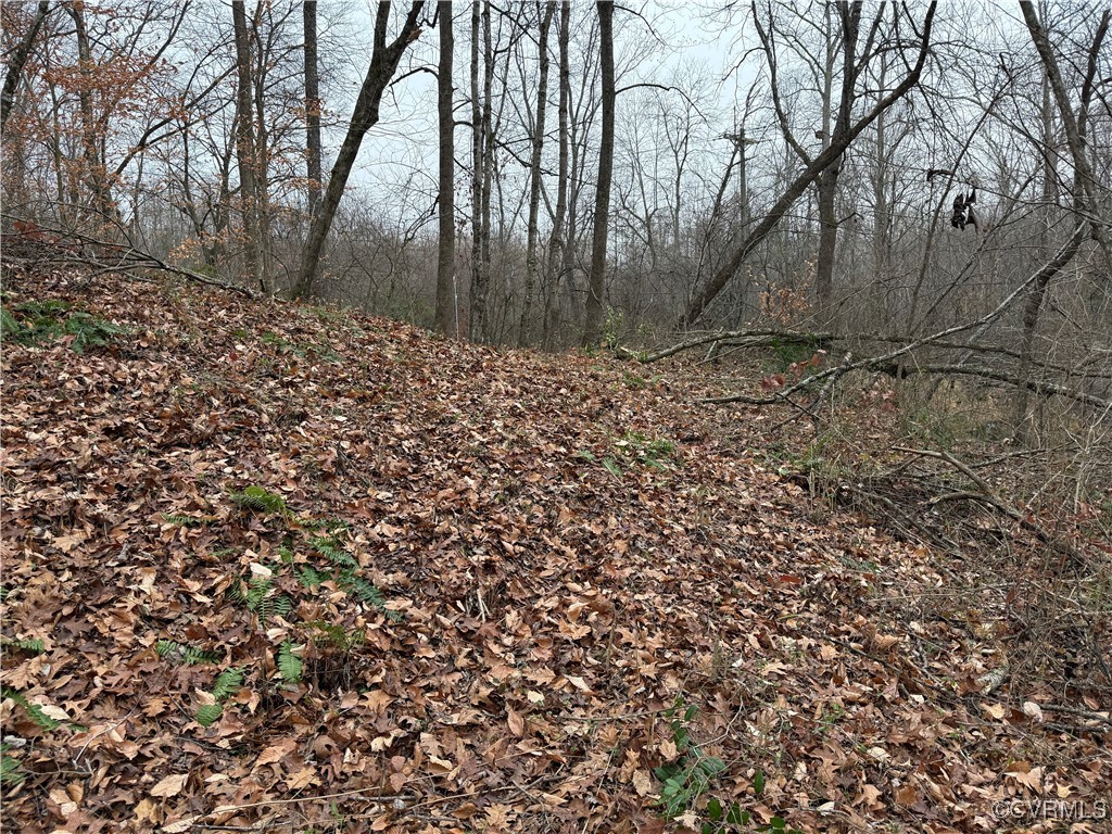 0 Hopeful Church Road Bumpass, VA 23024 - Photo 4 of 19 View of landscape