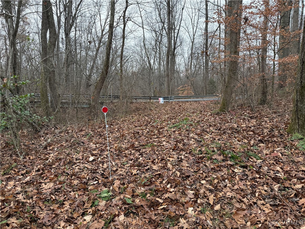 0 Hopeful Church Road Bumpass, VA 23024 - Photo 5 of 19 View of yard