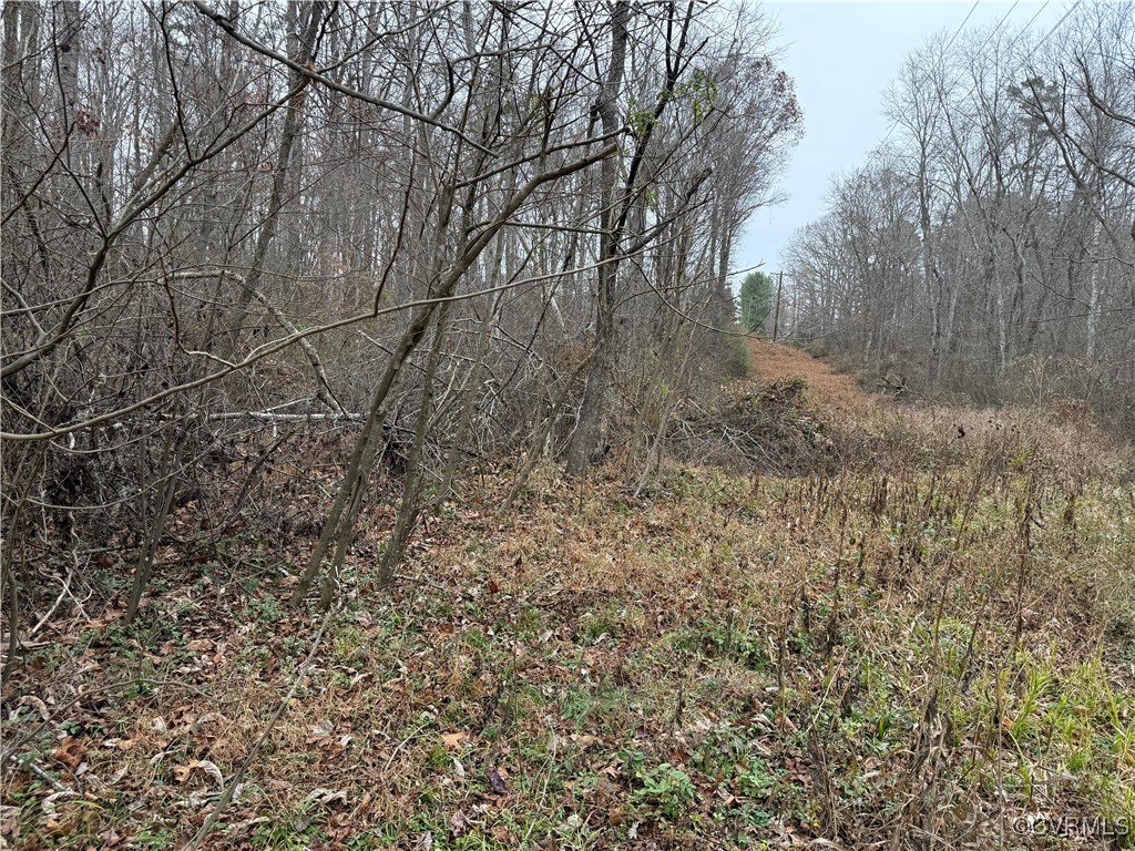 0 Hopeful Church Road Bumpass, VA 23024 - Photo 6 of 19 View of local wilderness