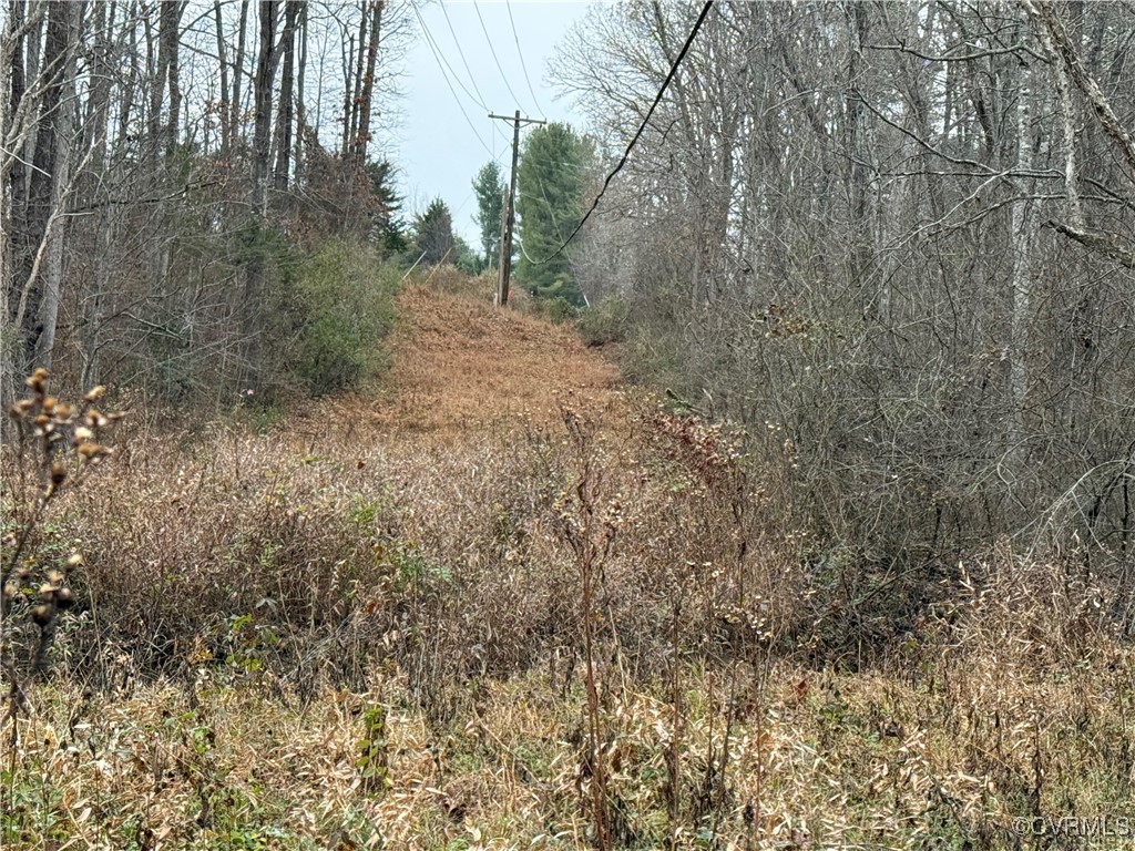 0 Hopeful Church Road Bumpass, VA 23024 - Photo 10 of 19 View of nature
