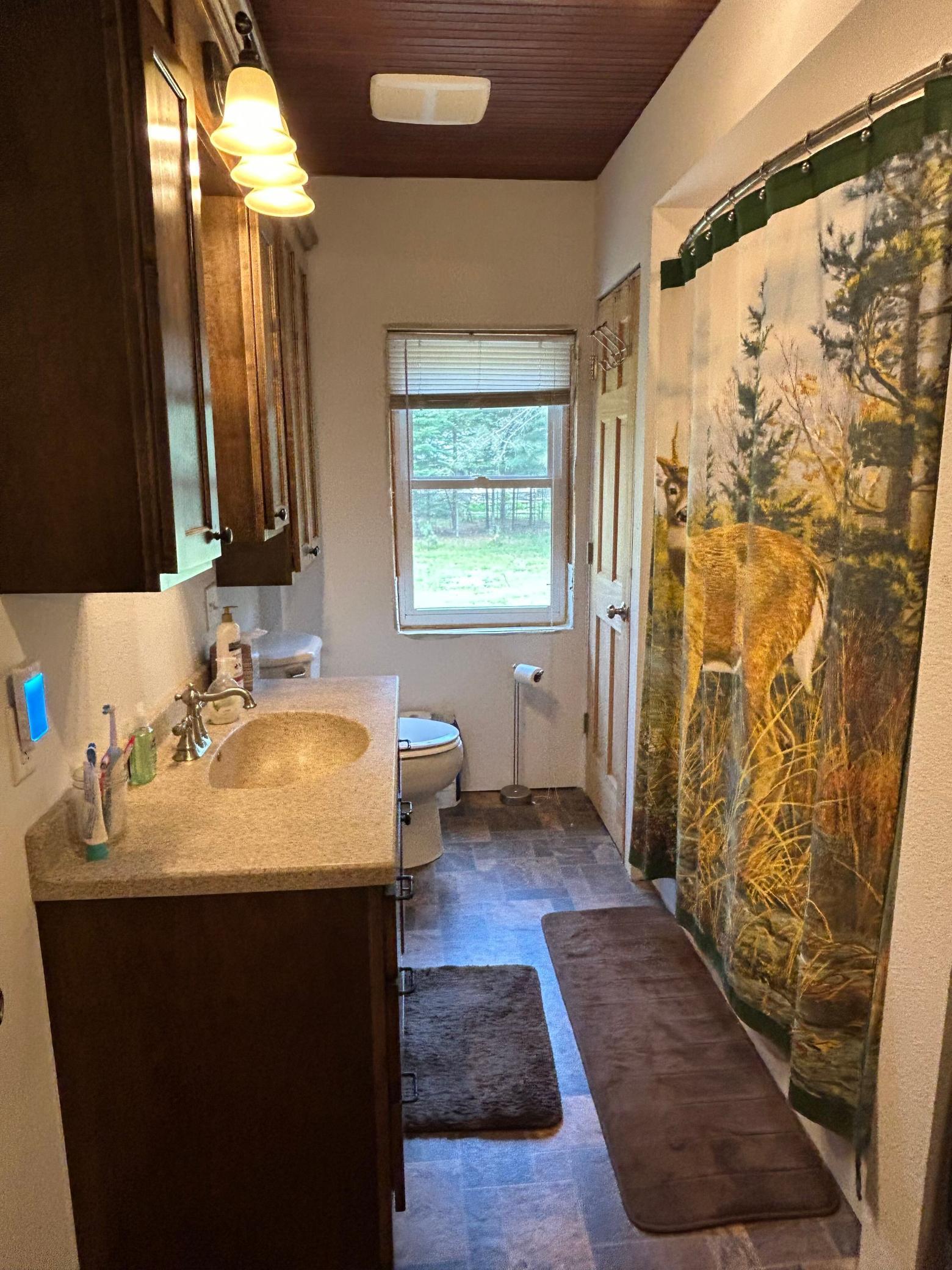 29184 Jana Road Danbury, WI 54830 - Photo 16 of 36