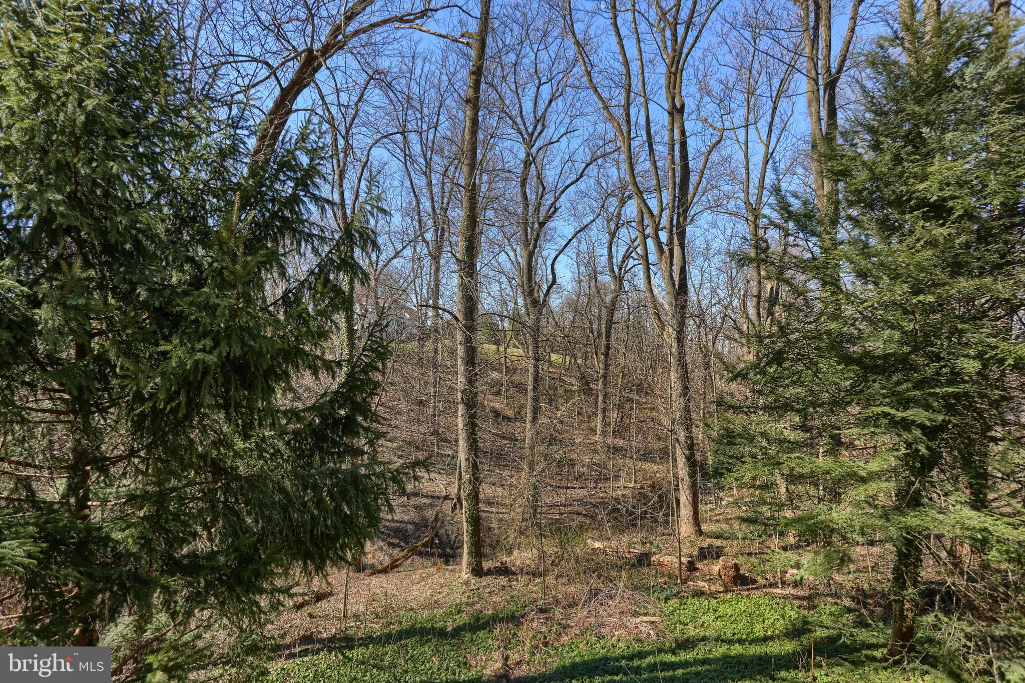 1148 Mill Mar Road Lancaster, PA 17601 - Photo 37 of 47 View from deck