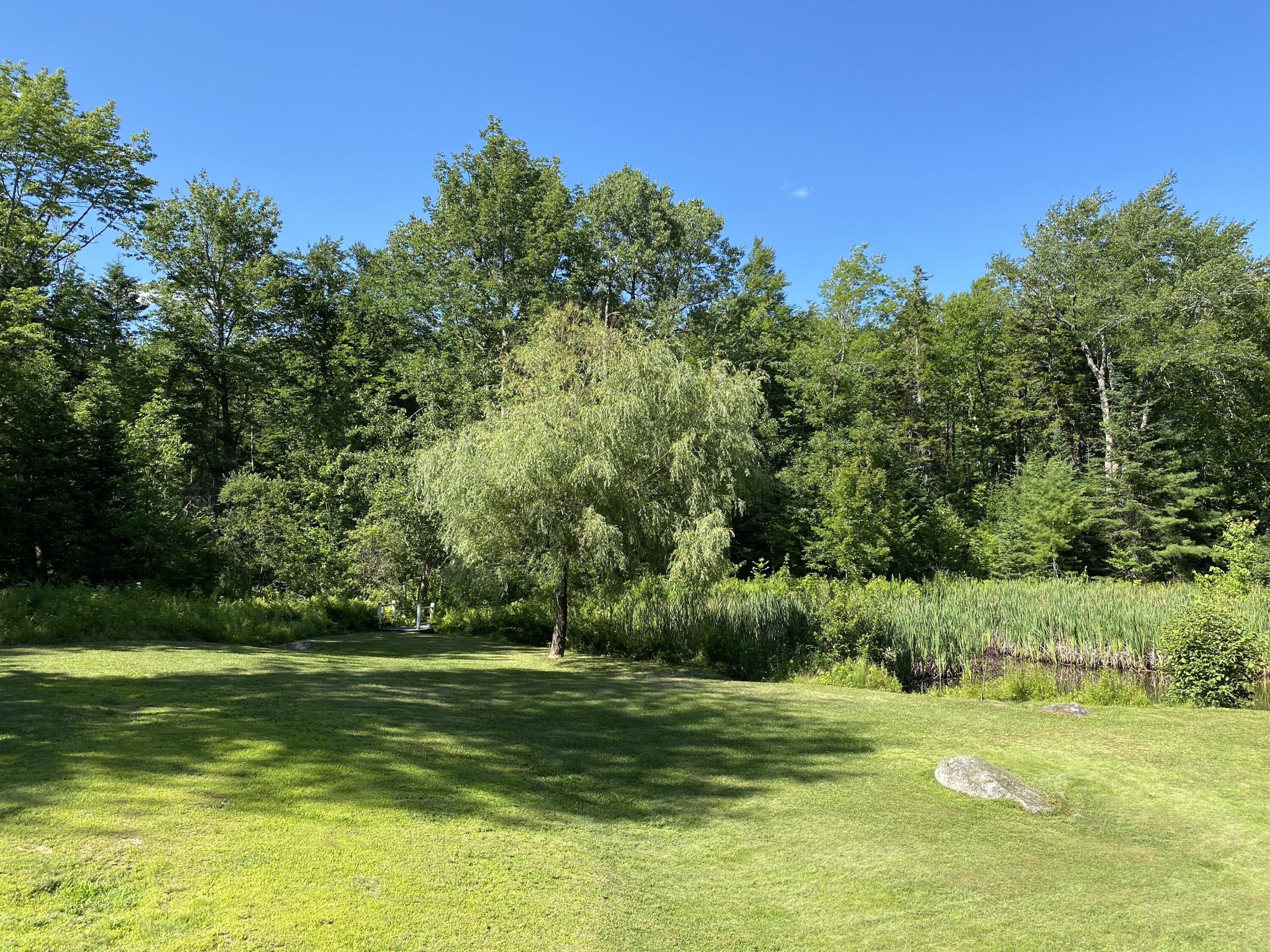 56 North North Bend Road Ellsworth, ME 04605 - Photo 9 of 25 Back Yard