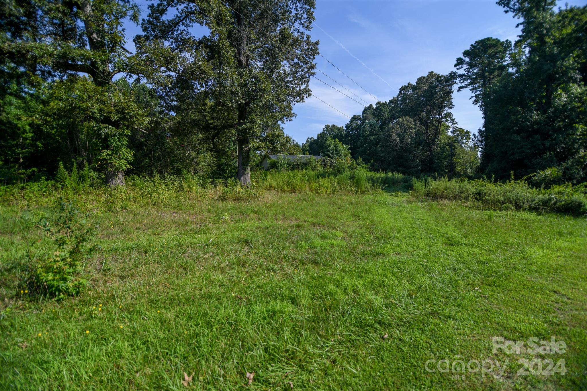 435 Whitworth Road Clover, SC 29710 - Photo 2 of 5 a view of a lush green space