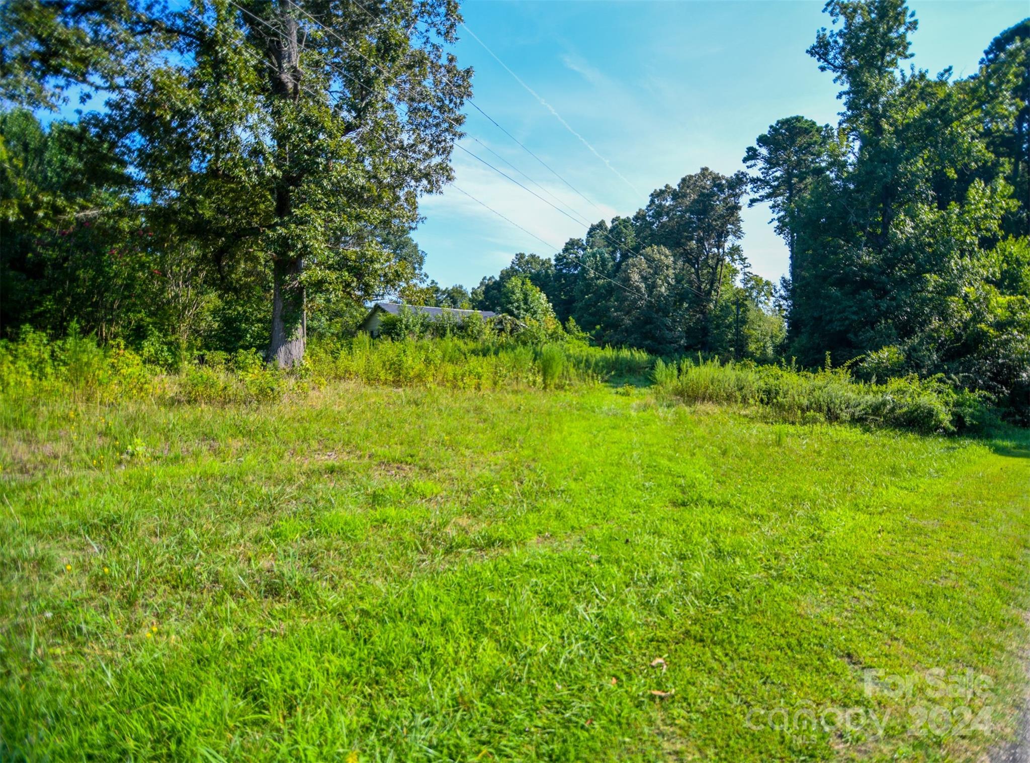 435 Whitworth Road Clover, SC 29710 - Photo 3 of 5 a view of yard with green space
