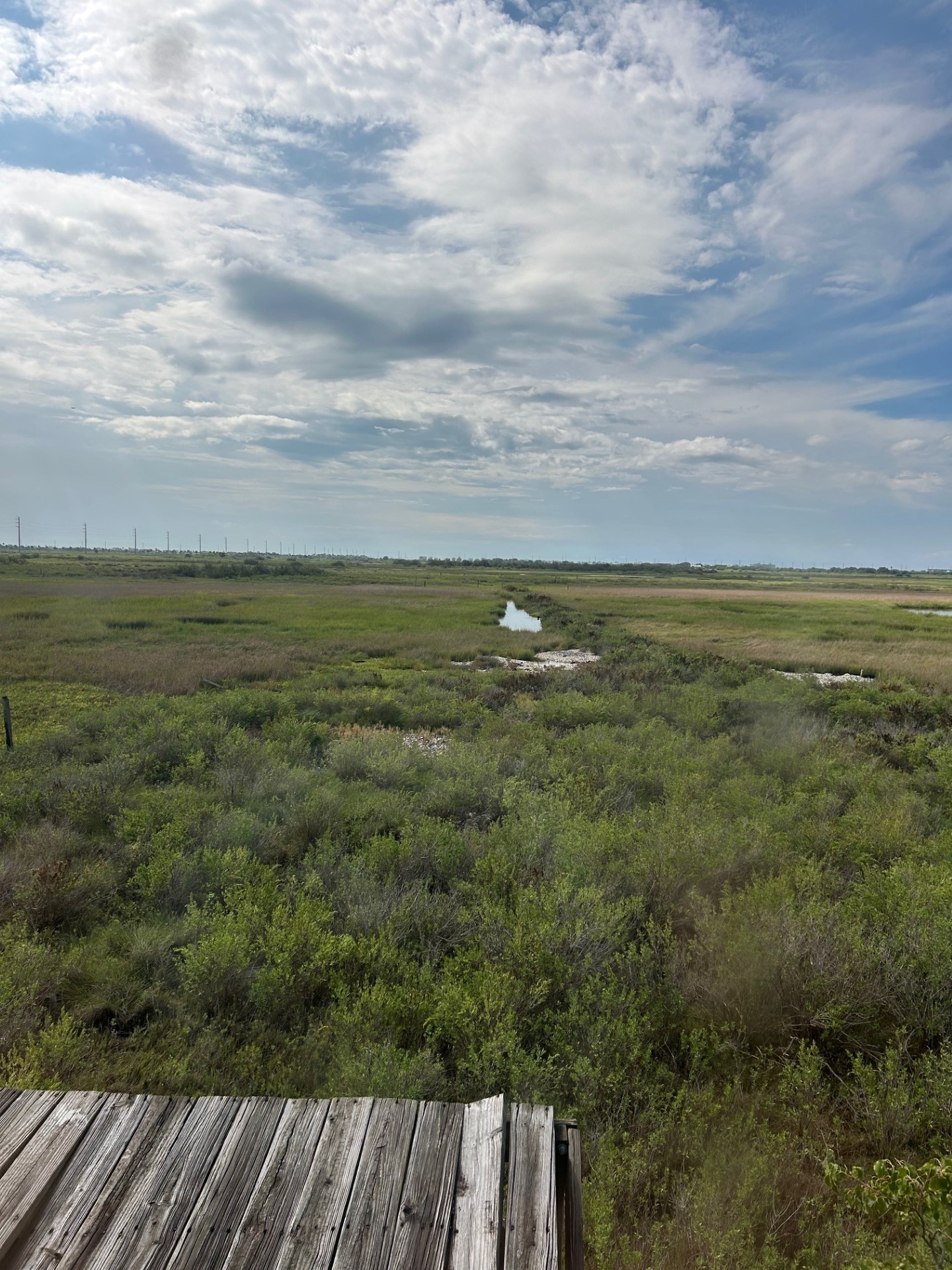 11135 Sportsman Road Galveston, TX 77554 - Photo 3 of 18 a view of an ocean and beach