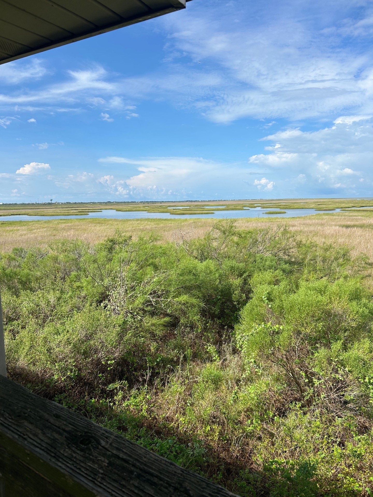11135 Sportsman Road Galveston, TX 77554 - Photo 4 of 18 a view of an ocean and beach