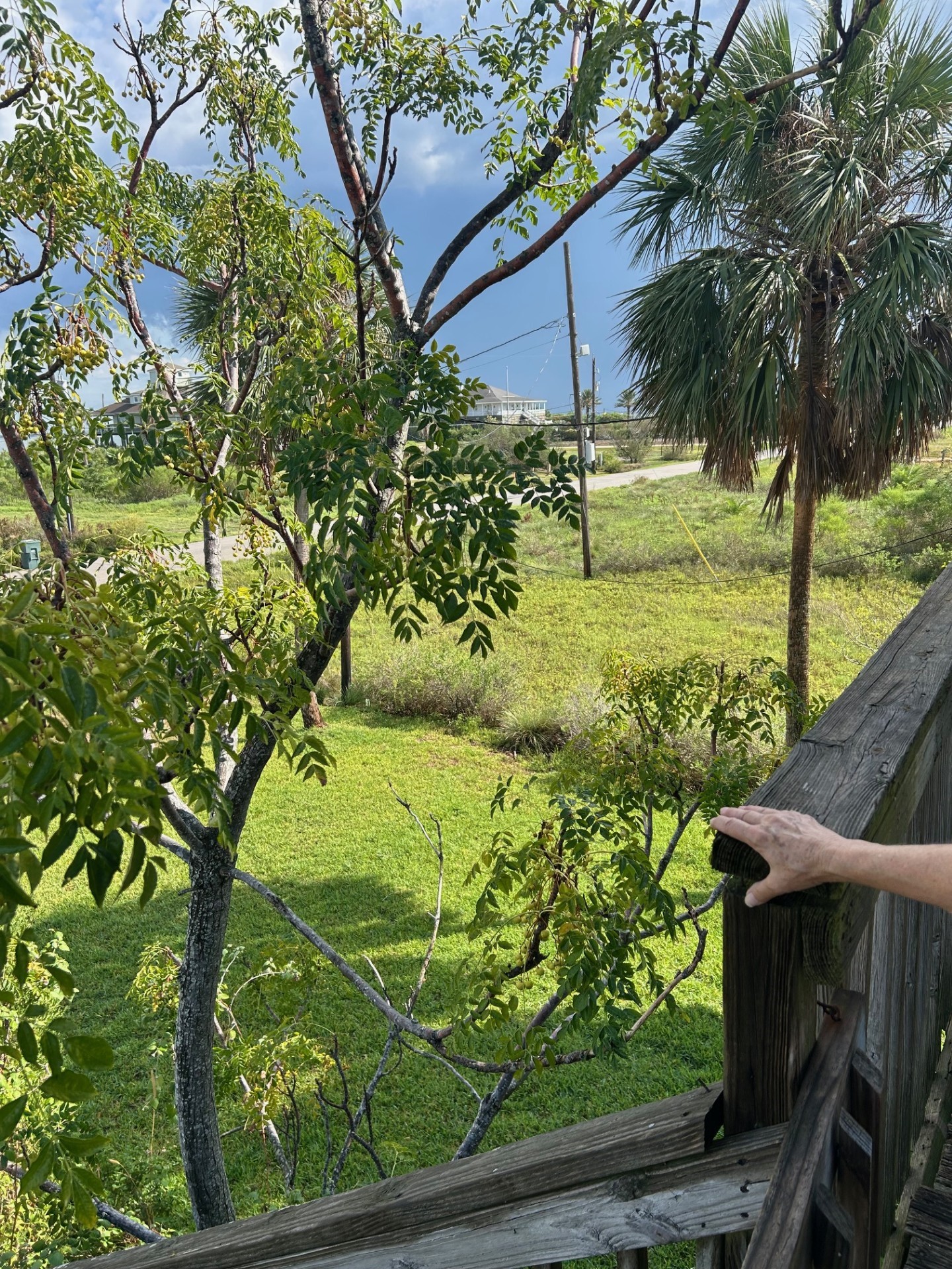 11135 Sportsman Road Galveston, TX 77554 - Photo 8 of 18 a view of a backyard of the house