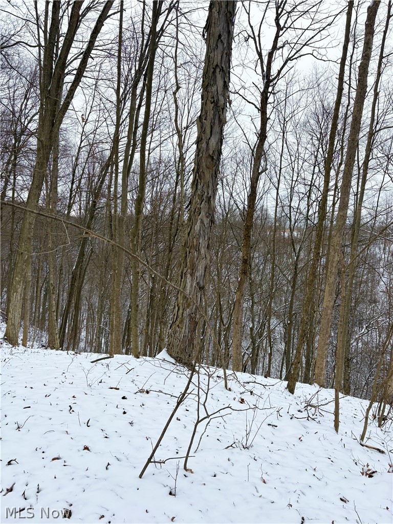 0 Tract 2 Morrs Ridge Road Jerusalem, OH 43747 - Photo 8 of 10