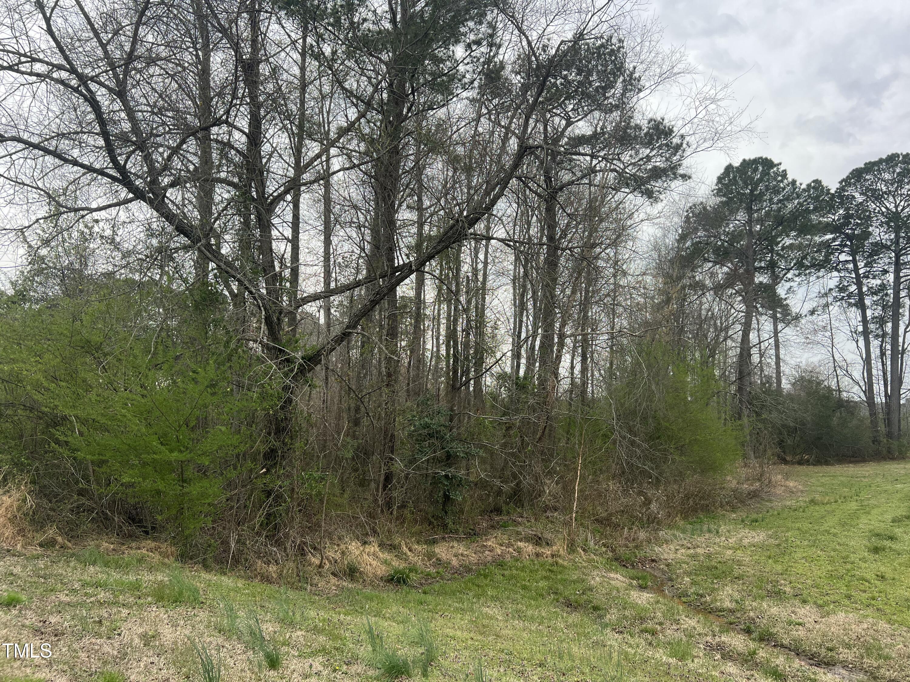 0 Trouble Road Willow Spring, NC 27592 - Photo 2 of 7 9765D6C5-4761-41E2-AA49-3A5E9ECB8A4B