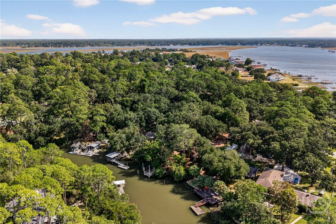 334 Island Road Savannah, GA 31406 - Photo 50 of 65 Gallery Image 50