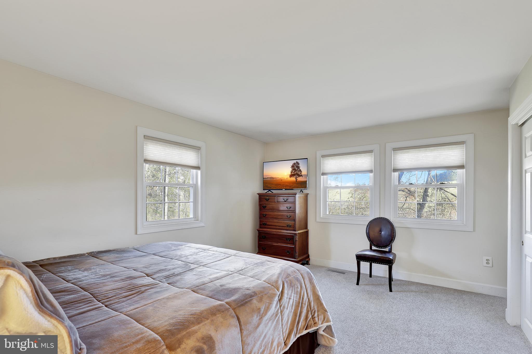 9271 Maidstone Road Delaplane, VA 20144 - Photo 19 of 49 Owners Suite