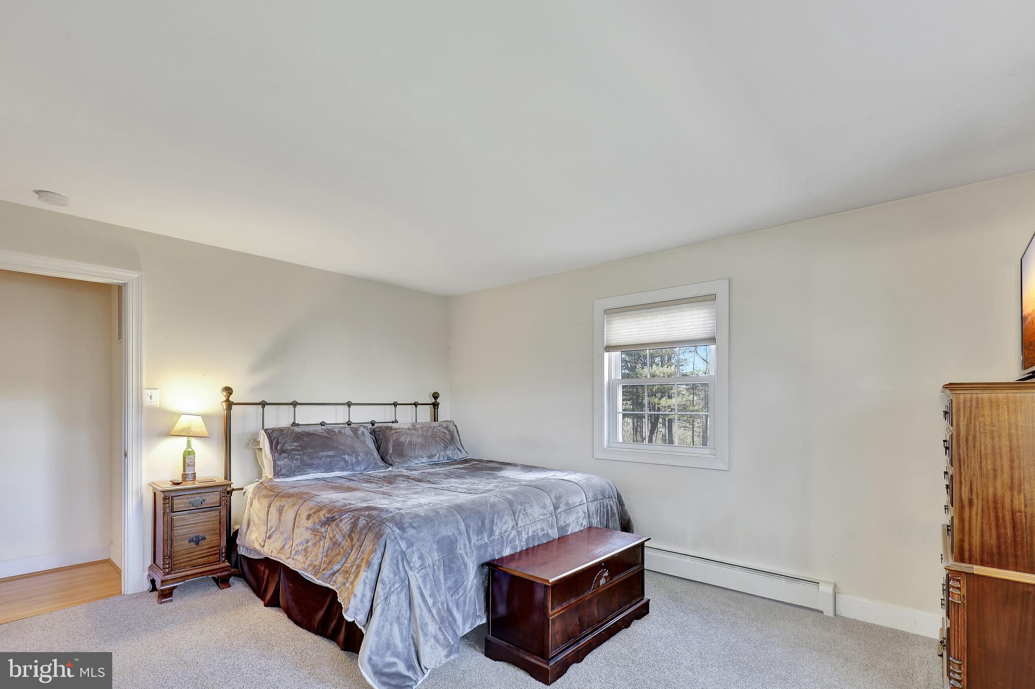 9271 Maidstone Road Delaplane, VA 20144 - Photo 20 of 49 Owners Suite