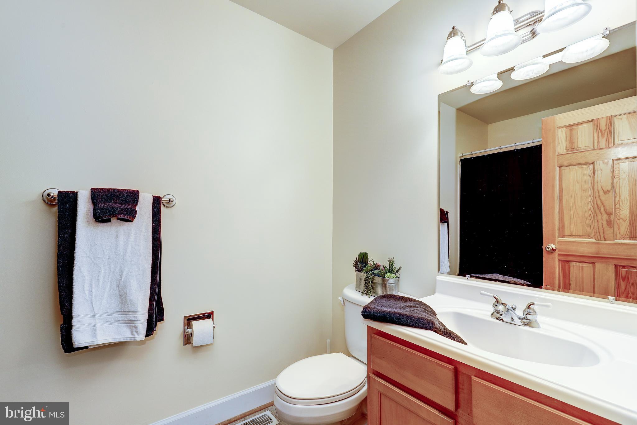 9271 Maidstone Road Delaplane, VA 20144 - Photo 24 of 49 Main Level Full Bathroom
